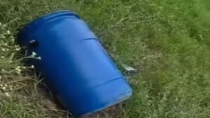 पत्नी पर था शक, तो कर दी हत्या, फिर नीले ड्रम में छिपा दी लाश… 2 महीने बाद खुला राज