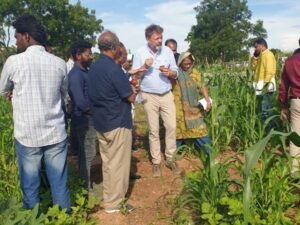 कूटनीति का नया टूल बना गाय का गोबर, जर्मन राजदूत ने भारत की पहल को सराहा, तस्वीरें कीं साझा