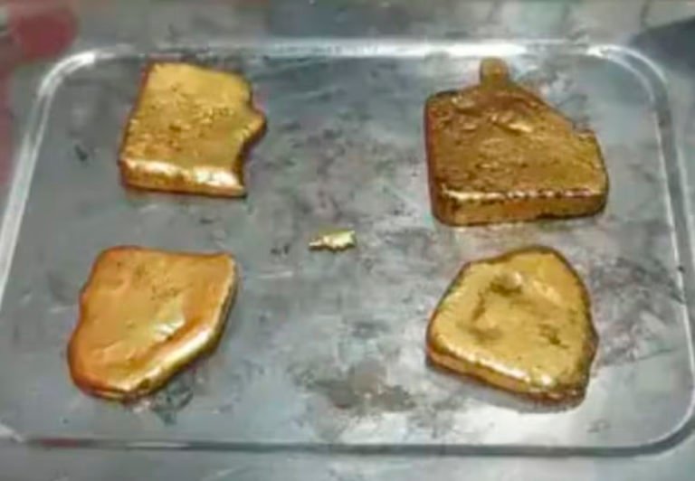 दिल्ली एयरपोर्ट पर म्यांमार से आई महिला ने अंडरगारमेंट में छिपा रखा था सोना, कस्टम ने किया जब्त