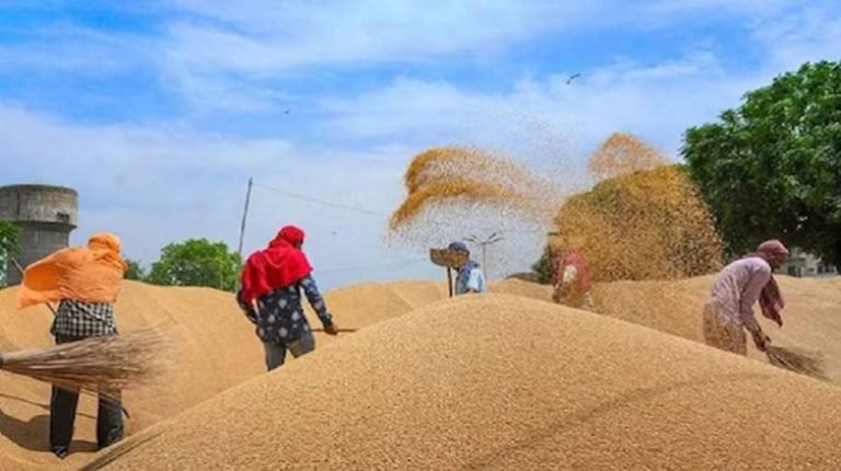 केंद्र ने गेहूं और चीनी के निर्यात को दी हरी झंडी