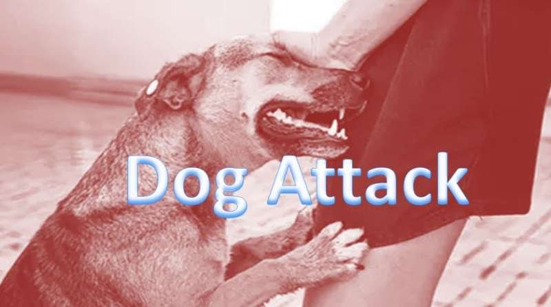 जयपुर एयरपोर्ट में महिला पैसेंजर पर कुत्ते ने किया हमला, लहु-लुहान हुआ पैर 