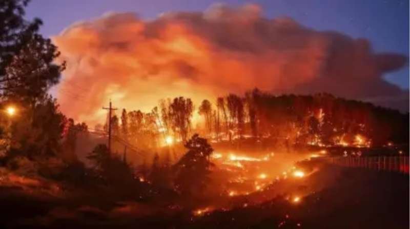 अरुणाचल और नागालैंड के जंगलों में आग बुझाने सेना-वायुसेना का युद्धस्तर पर काम जारी
